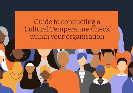 Page Banner with graphics of unidentified people from negatively racialised communities. Orange box with text that reads "Guide to conducting a ‘Cultural Temperature Check’ within your organisation"
