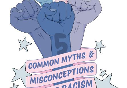 "5 Common Myths and Misconceptions about racism" artwork
